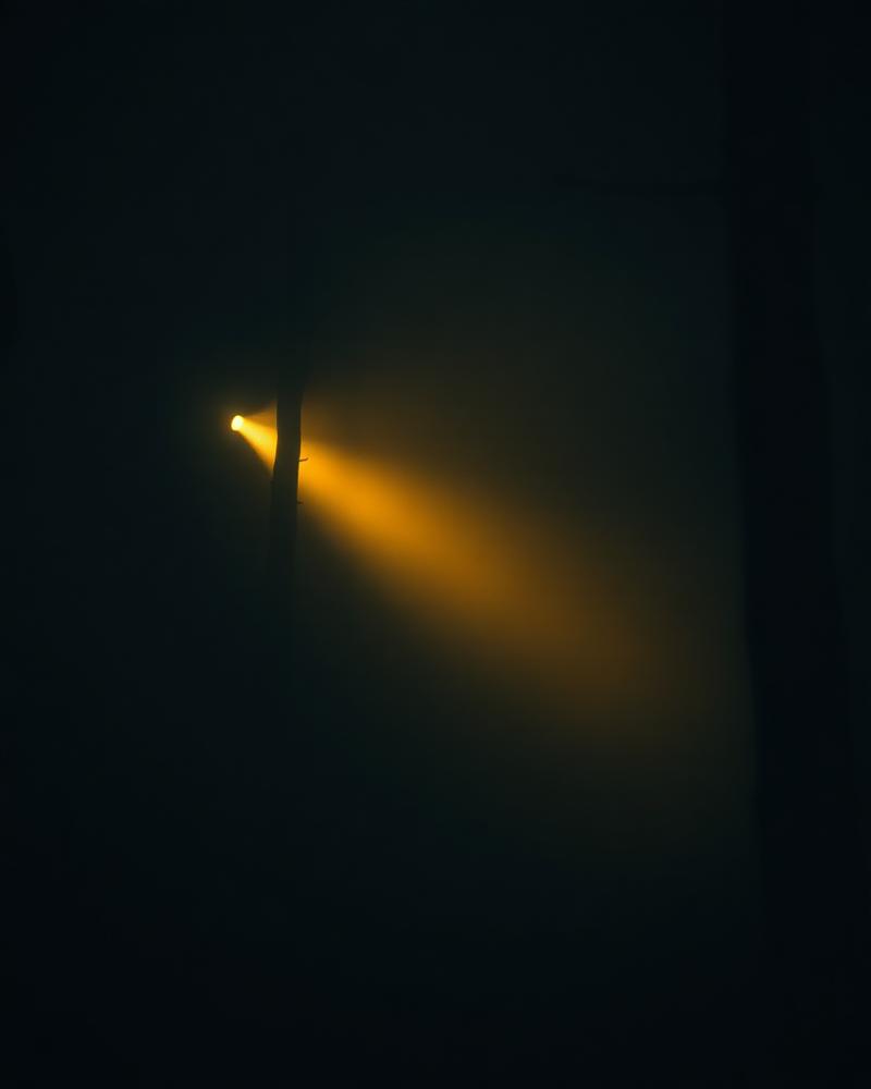 Horror screening block